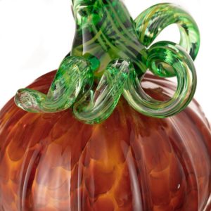 Medium Pumpkin - Autumn - stem detail